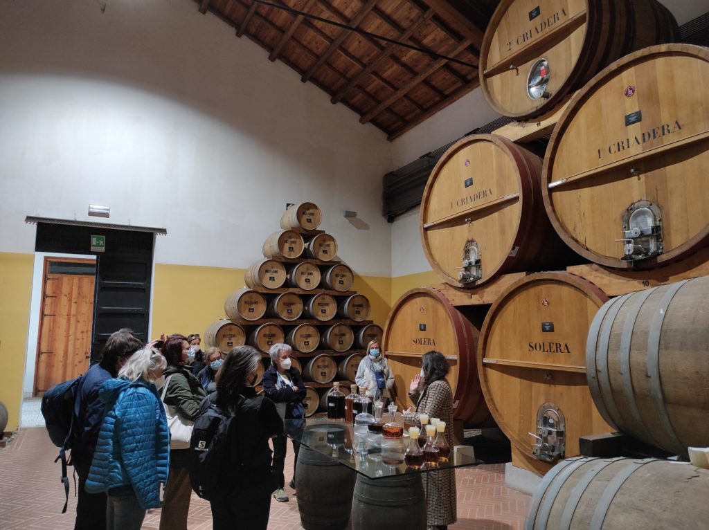 Wine Tour Sicilia Occidentale