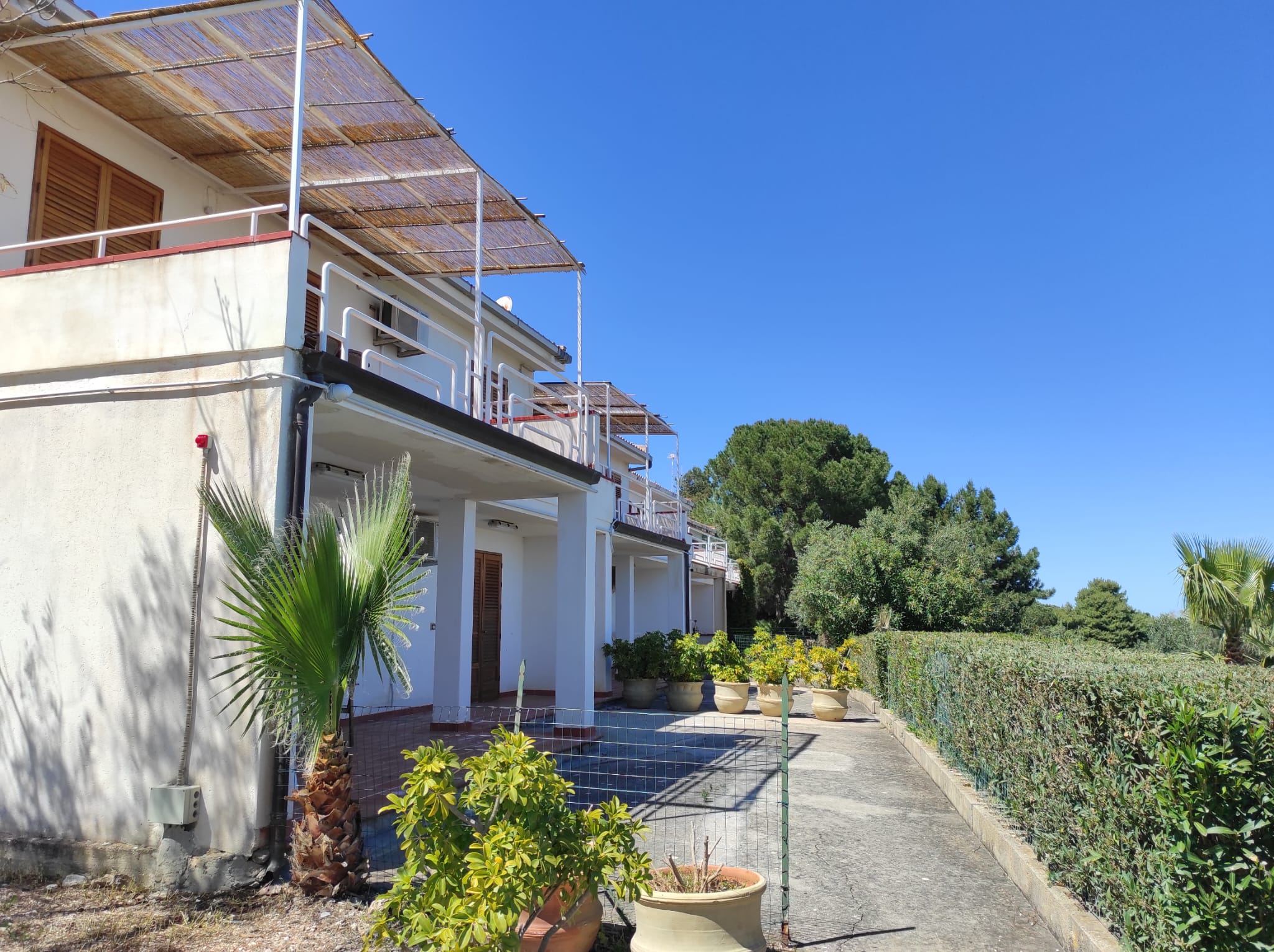 WhatsApp Image 2026-04-10 at 13.05.34